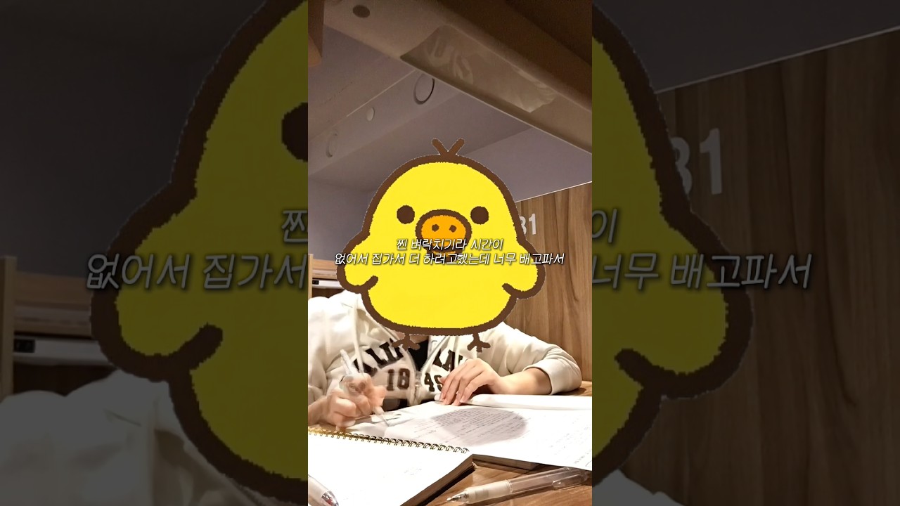 [vlog] 중학교 인생 마지막 시험기간 브이로그🎀📚