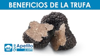 8 Propiedades y Beneficios de la TRUFA | QueApetito Truffles Que Es