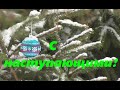 Зимние праздники в псковской деревне