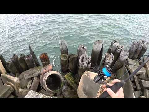 Blitz fishing, Filefish & More! Fishing mid-October on Long Island, NY