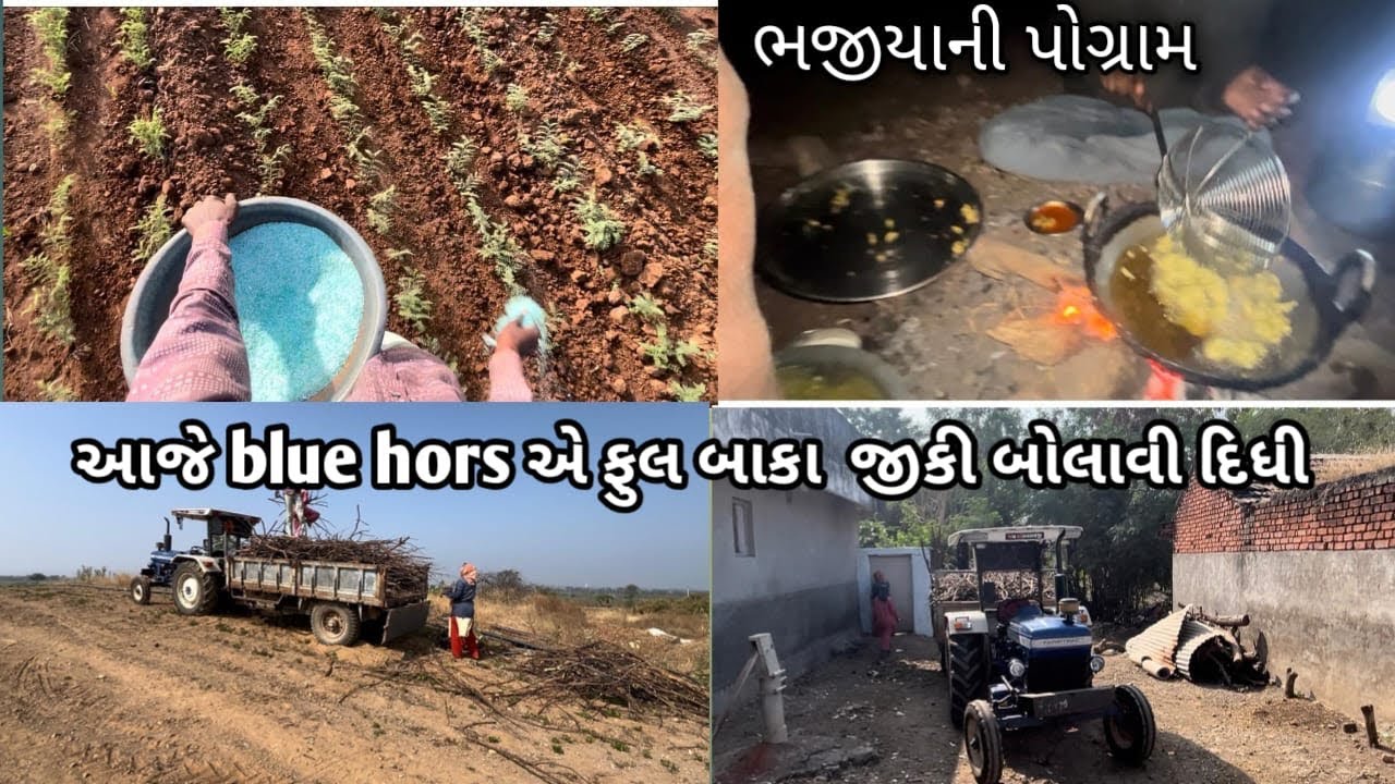 આજે તો blue hors એ બાકા જીકી બોલાવી દીધી  