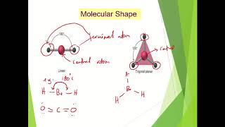 DK 014 Study guide 7.2 Molecular geometry