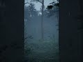 Pine forest game environment | Unreal engine 5