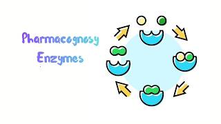 Enzyme l Catalyst l Basic Lecture
