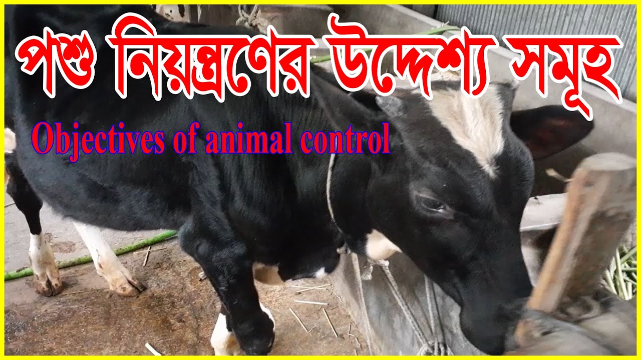 পশু নিয়ন্ত্রণের উদ্দেশ্য সমূহ.Objectives of animal control. Animal