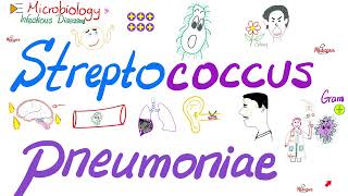 Streptococcus pneumoniae (pneumococci) | Microbiology  & Infectious Diseases  Playlist