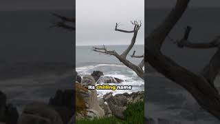 Carmel California Uncovered 3 Hidden Gems