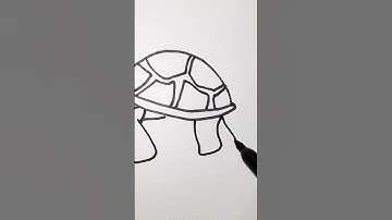 How to draw cute turtle #shorts #howtodraw #drawingtutorial #youtubeshorts #art