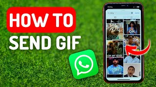 How to Send GIF on Whatsapp on iPhone - Full Guide