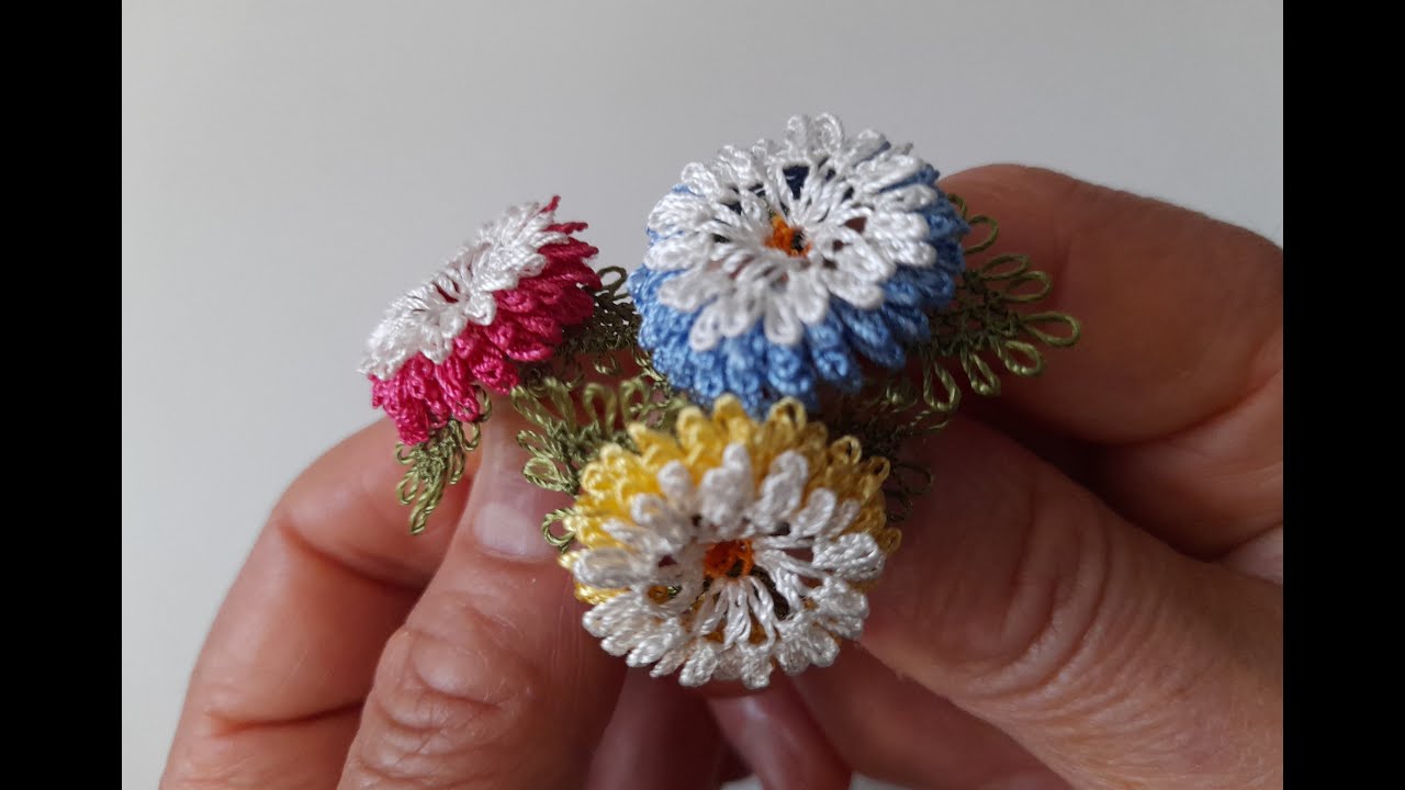 İğne Oyası Kutule Çiçeği