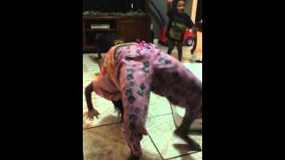 20141123_201902.mp4