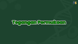 Fisika Kelas 11: Fluida Statis: Tegangan Permukaan dan Viskositas, Tegangan Permukaan