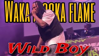 Wild Boy - Waka Flocka Flame (LIVE) | Coca-Cola Roxy