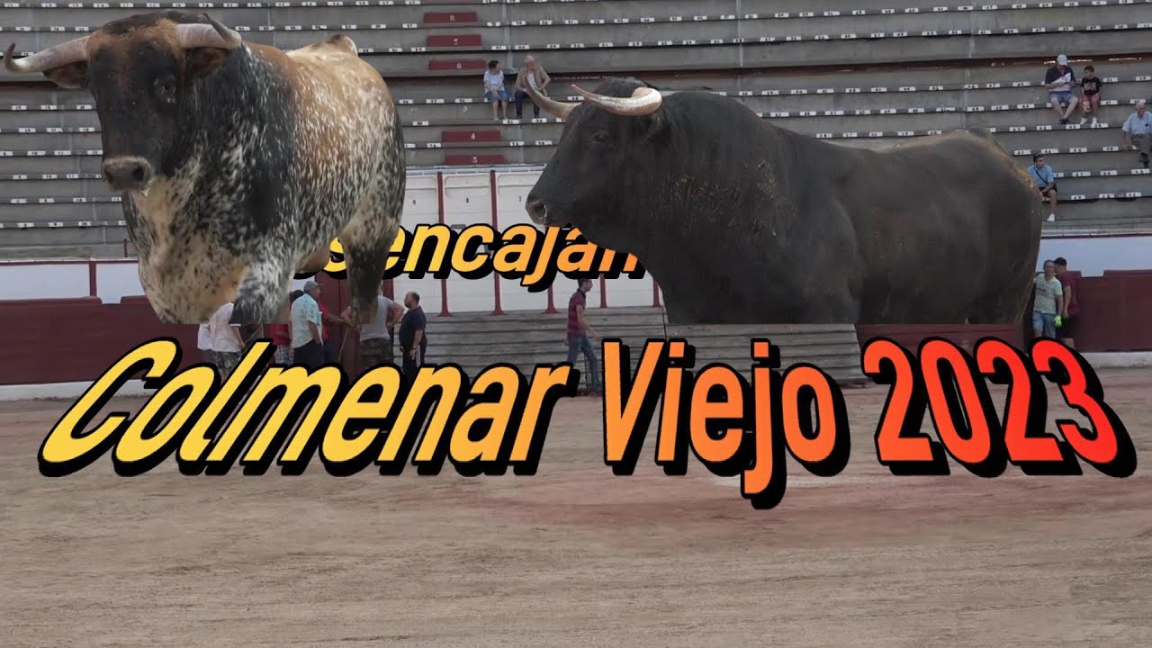 Desencajonamiento Colmenar Viejo 2023