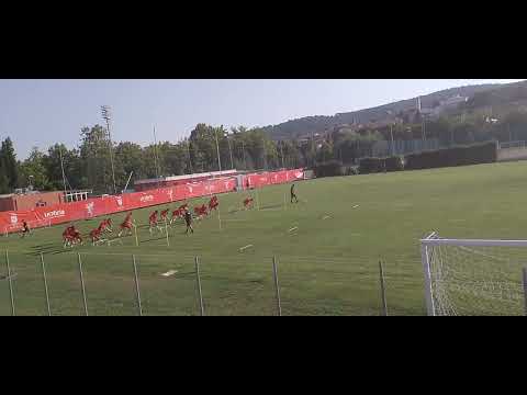 Video PRIMO GIORNO AC PERUGIA TARGATO ARENA CURI e AIMO DIANA e il SUO STAFF !!! ALEX GAUCCI PRESIDENTE!PG