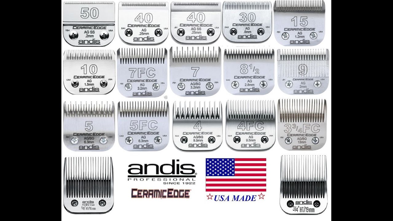 andis clipper blades near me