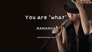 You are "what"-MAMAMOO-(Instrumental & Lyrics)