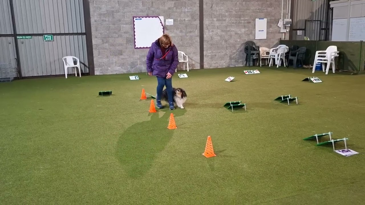 R.O.L February competition L5 Tina