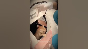 🥺❤️ #respect #kindness #cats #shorts