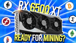 RX 6500 XT GPU Mining Hashrate | What to Mine on 4GB Cards?