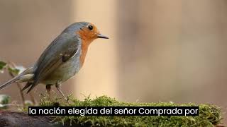 el evangelio de hoy Salmos 33 12 el evangelio de hoy Salmos 33 12