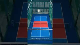 Platinum Capital Pickleball Court Opening