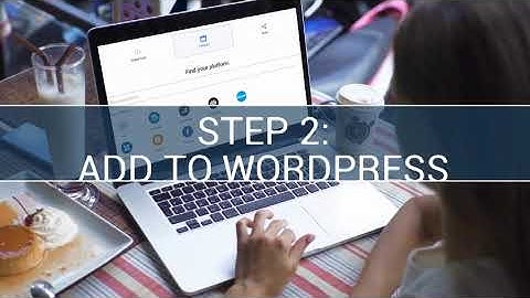 How to Embed Hit Counter on WordPress