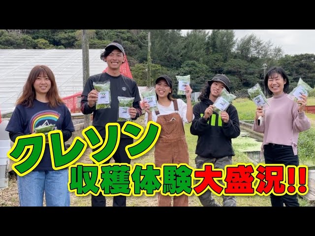 98 Watercress harvesting experience was a huge success‼️ - YouTube