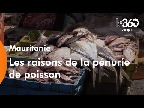 Mauritanie,pays aux côtes parmi les plus poissonneuses au monde,frappée par une pénurie de poisson