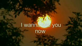 I wanna see you now - Leon haines band ( Lyrics )