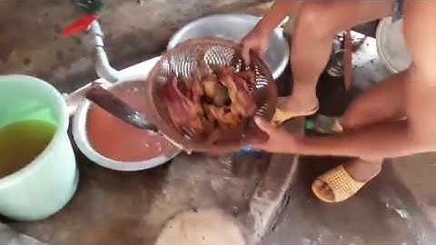 THỊT SÓC RỪNG-Thịt Sóc Xào Xả Ớt- món ngon núi rừngTÂY NGUYÊN