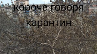 Короче говоря карантин