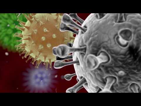 Vidéo: Virus Coxsackie - Symptômes, Traitement, Prévention, Signes Chez L'adulte