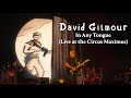 Experience David Gilmour's Epic Live Performances at Circus Maximus 🎸