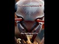 The Termite Nightmare! 🏚️🐜 (Eats Your House &amp; Money) #Shorts