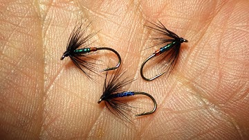Tying a Orange & Peacock Spider Wet Fly by Davie McPhail