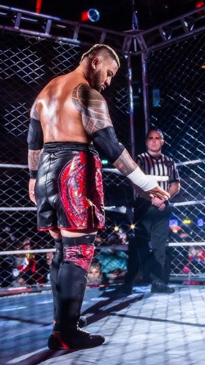 do-you-know-that-roman-reigns-wrestling-career-in-wwe-is-now