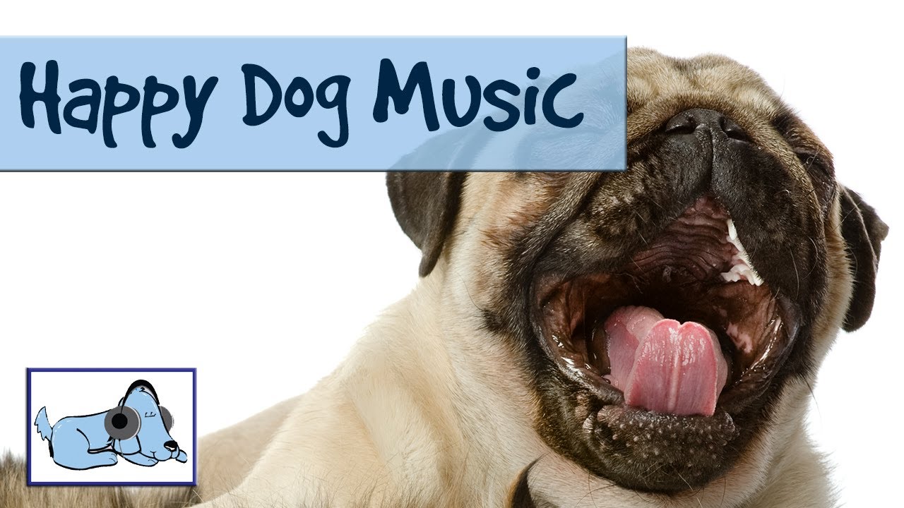 music to make your dog happy