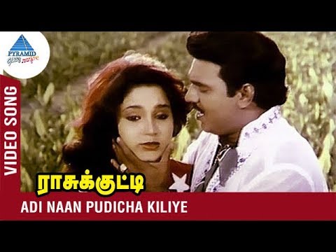 Adi Naan Pudicha Kiliye Video Song  Raasukutti Tamil Movie Song  Bhagyaraj  Aishwarya  Ilayaraja