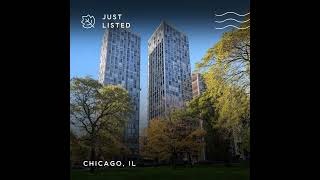 NEW ON THE MARKET 345 W Fullerton Pkwy Unit 2905 Profile