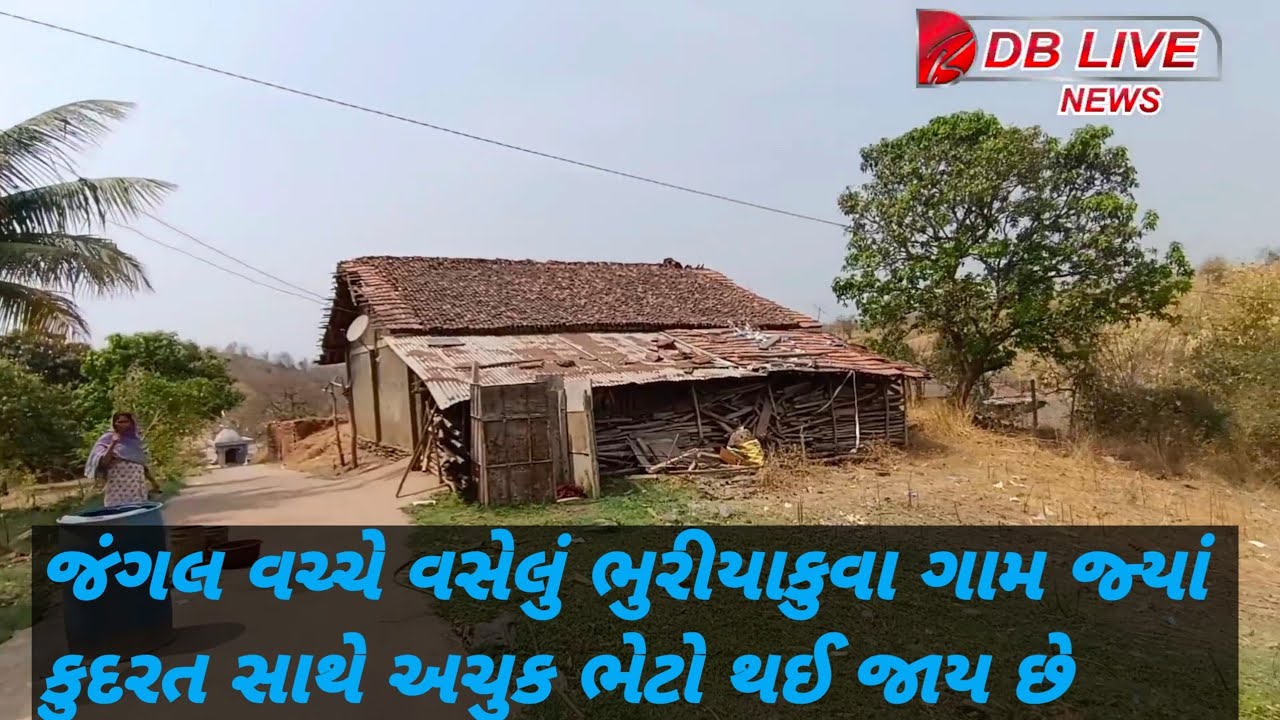 જાંબુઘોડા અભયારણ્ય ની વચ્ચોવચ ડુંગરો થી ઘેરાયેલો ભૂરીયા કુવા અને ઝબાણ તરફનો જંગલ વિસ્તાર એટલે સ્વર્ગ