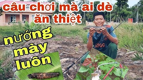Cách móc nhái câu không bị xoay | Kha Fishing