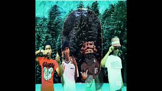 Vanii Bong Freestyle Official Audio