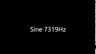 Sine 7319Hz Audio Only
