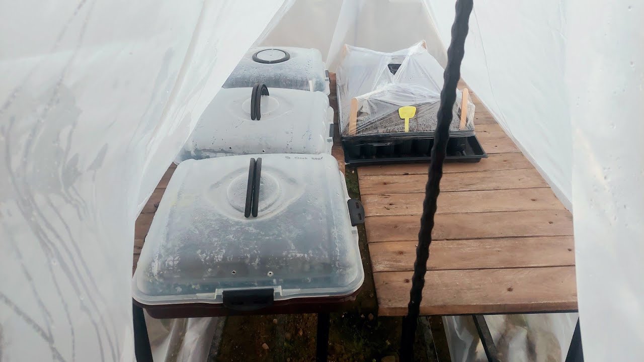 125 TL ye Lüks Gariban Serası , Tohumlar İçin Sera