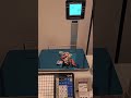 CAS CL3000 label Printing Scale with Pole