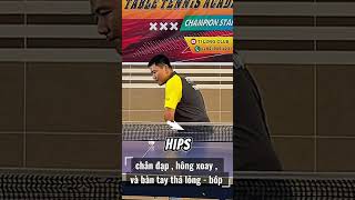 3 Steps to Perfect Forehand Topspin vs Backspin