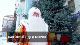 Как живёт Дед Мороз