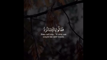 قرآن كريم || القارئ: عمر بن عبد العزيز || سورة: الأنعام || قراءه خاشعه💖