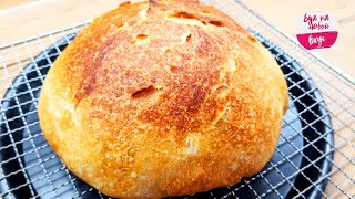 The fastest Bread in the oven (mixed and ready) You can cook every day without getting tired